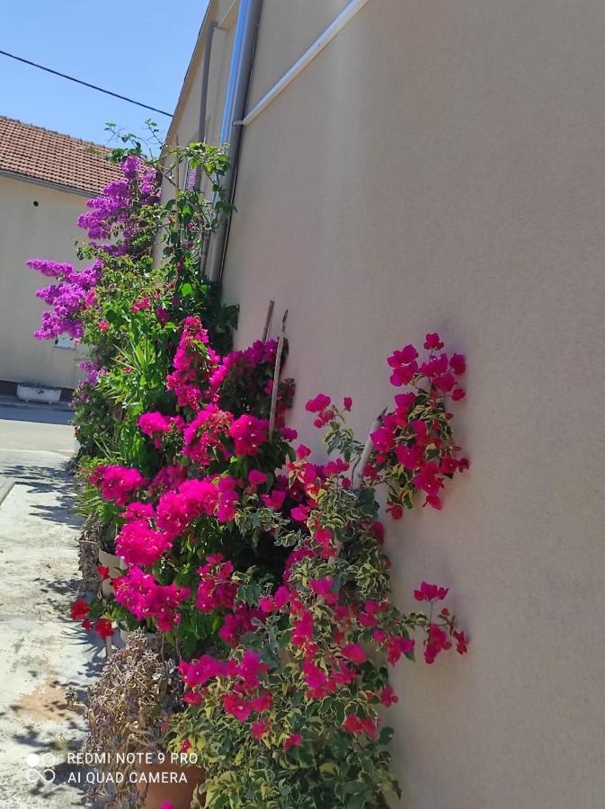 Apartments Iva Pakoštane エクステリア 写真