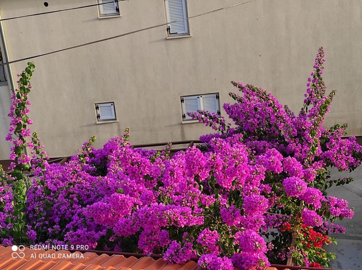 Apartments Iva Pakoštane エクステリア 写真